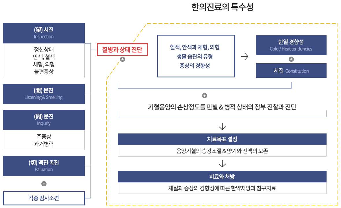 한의진료의 특수성
